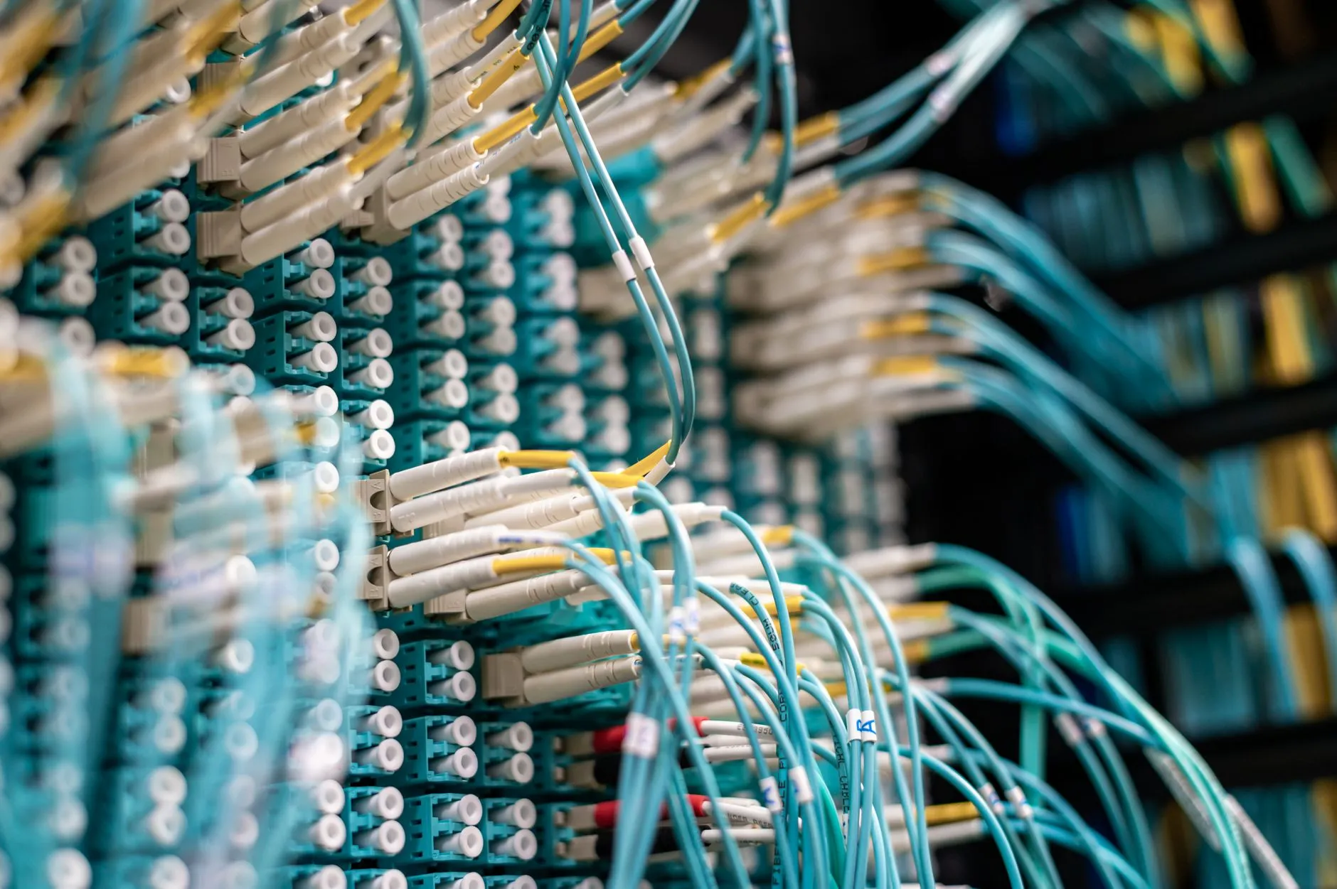 Fiber optic cables plugged into a server rack patch panel